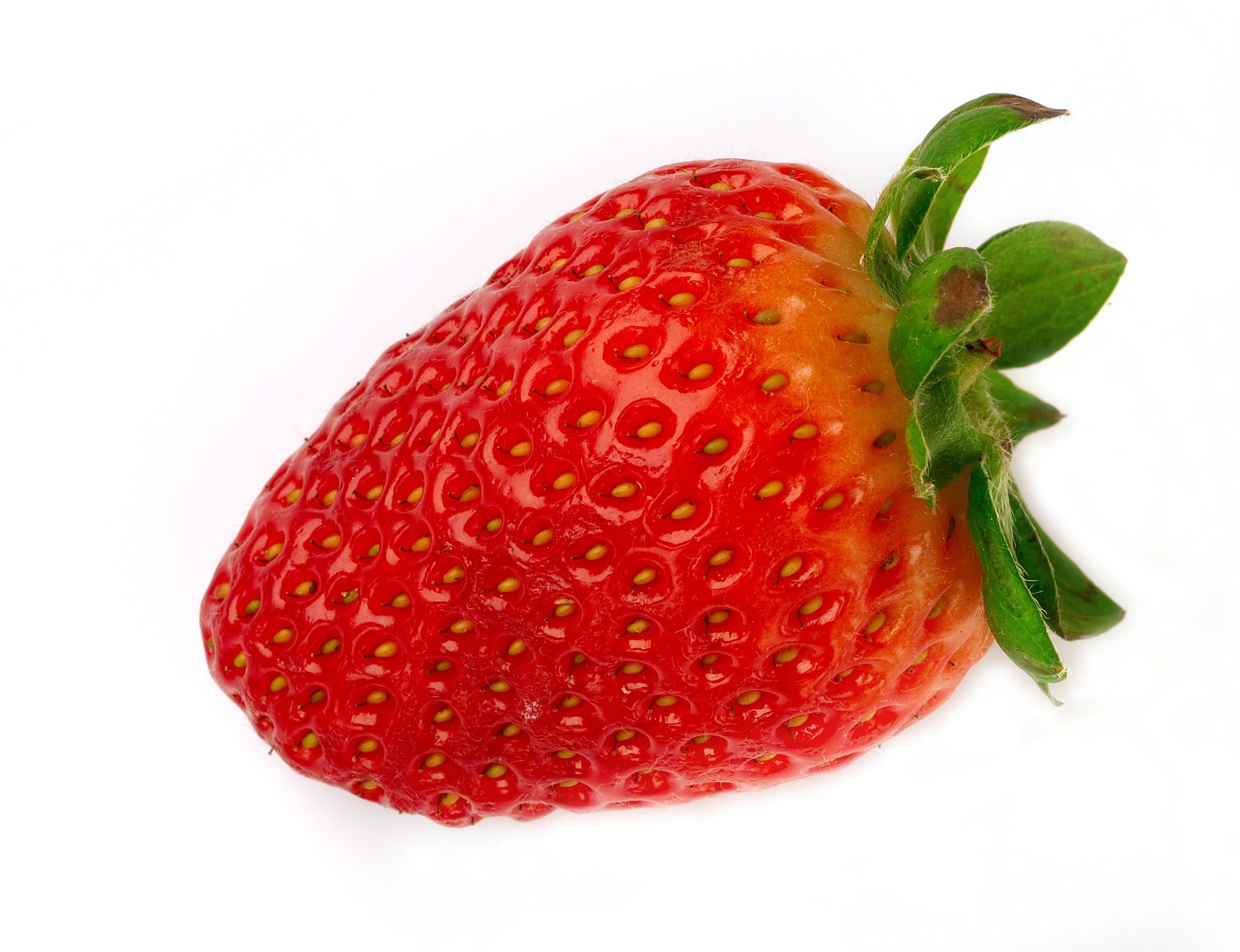 La fraise de Pétaouchnok